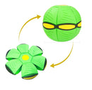 Brinquedo Voador BeethovenPet - Função 2 em 1