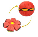 Brinquedo Voador BeethovenPet - Função 2 em 1